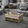 Lift Top Coffee Table w/Hidden Storage & 2 Open Shelves for Living Room Reception Room Office