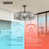 36 in. 24W LED light bulb ceiling fan with stainess net frame