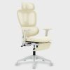 Multi-functional Ergonomic Mesh Office Chair with Adjustable Armrest,Footrest,Lumbar Support, 360¬∞  Silent Wheels,Headrest for Home & Office