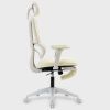 Multi-functional Ergonomic Mesh Office Chair with Adjustable Armrest,Footrest,Lumbar Support, 360¬∞  Silent Wheels,Headrest for Home & Office